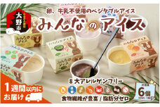 みんなのアイス6個セット（ 卵・牛乳・小麦等アレルギー特定原材料8品目不使用のアイス）