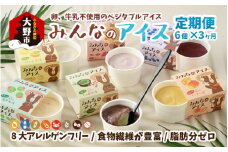 【3ヶ月定期便】みんなのアイス 6個セット（ 卵・牛乳・小麦等アレルギー特定原材料8品目不使用 ）