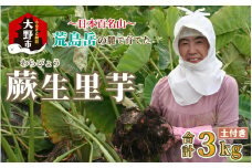 【先行予約】日本百名山 荒島岳の麓で育てた 蕨生（わらびょう）里芋 3kg【11月～出荷】