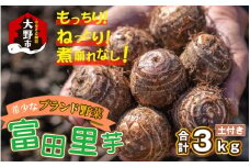 【先行予約】希少！とみた里芋 3kg ねっとりまろやか煮崩れなし！【11月～年内出荷】 