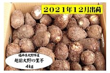 【2021年度先行予約 12月出荷分】ねっとりうまい煮崩れしない、越前大野の里芋　4kg [A-001003]