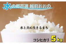 【令和6年産】こしひかり（福井県大野市産）エコファーマー米（白米）5kg 