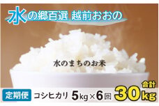 【令和6年産】【6ヶ月定期便】こしひかり 5kg×6回 計30kg【白米】「エコファーマー米」水のまちのお米  
