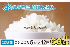 【令和6年産 新米】【12ヶ月定期便】こしひかり 5kg×12回 計60kg【白米】「エコファーマー米」水のまちのお米 