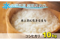 【令和6年産 新米】こしひかり（福井県大野市産）エコファーマー米（白米）10kg（5kg×2袋）
