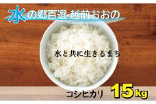 【令和6年産 新米】こしひかり（福井県大野市産）エコファーマー米（白米）15kg（5kg×3袋）