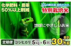【令和6年産】【6ヶ月定期便】こしひかり 5kg × 6回 計30kg【白米】減農薬・減化学肥料 「特別栽培米」－地球にやさしいお米－