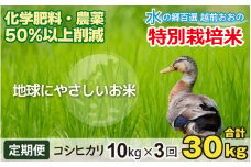 【令和6年産 新米】【3ヶ月定期便】こしひかり 10kg × 3回 計30kg【白米】減農薬・減化学肥料 「特別栽培米」－地球にやさしいお米－