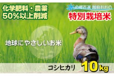 【令和6年産 新米】こしひかり 10kg【白米】減農薬・減化学肥料 「特別栽培米」－地球にやさしいお米－ 