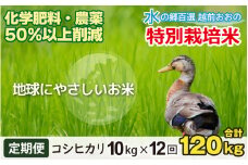 【令和6年産 新米】【12ヶ月定期便】こしひかり 10kg×12回 計120kg【白米】減農薬・減化学肥料 「特別栽培米」－地球にやさしいお米－