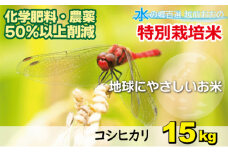 【令和6年産 新米】こしひかり 15kg【白米】減農薬・減化学肥料 「特別栽培米」－地球にやさしいお米－ 