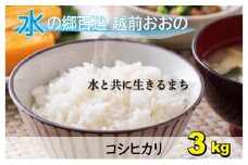 【令和6年産】こしひかり（福井県大野市産）エコファーマー（白米）3kg 