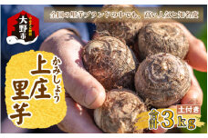 【先行予約】日本の美味い里芋！秋の味覚 上庄里芋 3kg【11月より順次発送】