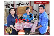 福井県大野市 新ブランド “奇跡の豚” 荒島ポーク 1/2頭まるごとセット 27～34kg ブロック[O-048001]