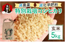 【先行予約】【令和7年産 新米】減農薬・減化学肥料の特別栽培コシヒカリ 玄米 5kg 