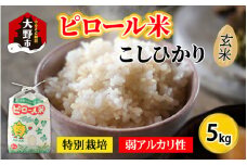 【令和6年産 新米】こだわりの米！弱アルカリ性のピロール米 こしひかり 玄米 5kg [A-009002]