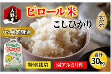 【令和6年産 新米】【6ヶ月定期便】こだわりの米！弱アルカリ性のピロール米 こしひかり 玄米 5kg×6回 計30kg [F-009002]