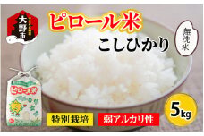 【令和6年産 新米】こだわりの米！弱アルカリ性のピロール米 こしひかり 無洗米 5kg [A-009003]