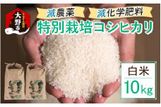 【先行予約】【令和7年産 新米】減農薬・減化学肥料の特別栽培コシヒカリ 白米 10kg（5kg×2）農家直送 