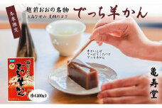 【先行予約】福井県大野市 冬の名物 でっち羊かん 小サイズ約400g 亀寿堂 水ようかん【11月～順次発送】 ｜ 水羊羹 丁稚羊羹 丁稚羊かん 和菓子