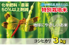 【令和6年産】こしひかり（福井県大野市産）福井県特別栽培米 3kg【白米】