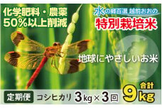 【令和6年産】【3ヶ月定期便】こしひかり 3kg × 3回 計 9kg【白米】減農薬・減化学肥料「特別栽培米」