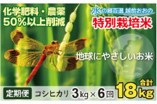 【令和6年産】【6ヶ月定期便】こしひかり 3kg × 6回 計 18kg【白米】減農薬・減化学肥料「特別栽培米」－地球にやさしいお米－