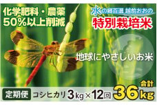 【令和6年産 新米】【12ヶ月定期便】こしひかり 3kg × 12回 計 36kg【白米】減農薬・減化学肥料「特別栽培米」－地球にやさしいお米－