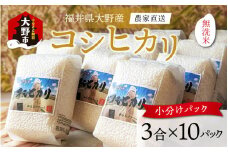 【先行予約】【令和6年産 新米】福井県大野市産 コシヒカリ 無洗米 3合×10パック（4.5kg）小分け アウトドアにもおすすめ 農家直送 
