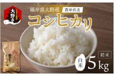 【先行予約】【令和6年産 新米】福井県大野市産 コシヒカリ 白米 精米 5kg 農家直送