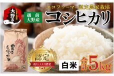 【先行予約】【令和7年産 新米】エコファーマー認定農家栽培 コシヒカリ（白米）5kg 【2025年10月より順次お届け】