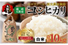 【先行予約】【令和7年産 新米】越前大野産 エコファーマー認定農家栽培 コシヒカリ10kg（白米） 【2025年10月より順次お届け】