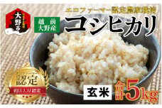 【先行予約】【令和7年産 新米】越前大野産 エコファーマー認定農家栽培 こしひかり5kg（玄米）【2025年10月より順次お届け】