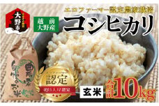 【先行予約】【令和7年産 新米】越前大野産 エコファーマー認定農家栽培 コシヒカリ10kg（玄米）【2025年10月より順次お届け】
