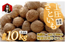 【先行予約】【11月発送分】上庄さといも 10kg 減農薬・減化学肥料の特別栽培里芋