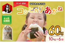 【令和5年産】【6ヶ月定期便】福井県大野市産 JGAP認証 コシヒカリ「あかね」10kg [F-007001]