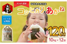 【令和5年産】【12ヶ月定期便】福井県大野市産 JGAP認証 コシヒカリ「あかね」10kg [K-007001]