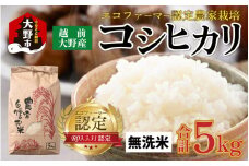 【令和6年産 新米】越前大野産 エコファーマー認定農家栽培 こしひかり 5kg（無洗米）