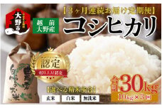 【令和6年産】【3ヶ月定期便】越前大野産 エコファーマー認定農家栽培 こしひかり 無洗米 10kg × 3回 計30kg 