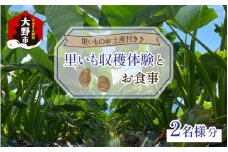 【里いものお土産付き♪】大野の里いも収穫体験と食事（2名様分）