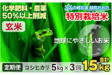 【令和6年産】【3ヶ月定期便】こしひかり 5kg × 3回 計 15kg【玄米】減農薬・減化学肥料 「特別栽培米」－地球にやさしいお米－