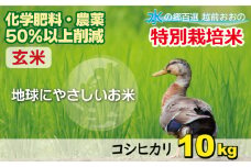 【令和6年産 新米】こしひかり 10kg【玄米】減農薬・減化学肥料 「特別栽培米」