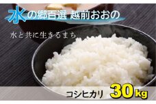 【令和6年産 新米】こしひかり（福井県大野市産）エコファーマー米（白米）30kg（5kg×6袋）