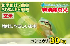 【令和6年産 新米】こしひかり 30kg【玄米】減農薬・減化学肥料 「特別栽培米」－地球にやさしいお米－