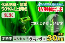 【令和7年産 新米】【6ヶ月定期便】こしひかり 5kg × 6回 計 30kg【玄米】減農薬・減化学肥料 「特別栽培米」－地球にやさしいお米－