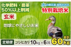【令和6年産 新米】【6ヶ月定期便】こしひかり 10kg × 6回 計 60kg【玄米】減農薬・減化学肥料 「特別栽培米」－地球にやさしいお米－