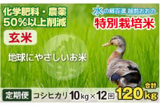【令和6年産 新米】【12ヶ月定期便】こしひかり 10kg × 12回 計 120kg【玄米】減農薬・減化学肥料 「特別栽培米」－地球にやさしいお米－