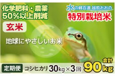 【令和6年産 新米】【3ヶ月定期便】こしひかり 30kg × 3回 計 90kg【玄米】減農薬・減化学肥料 「特別栽培米」－地球にやさしいお米－