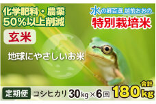 【令和6年産 新米】【6ヶ月定期便】こしひかり 30kg × 6回 計 180kg【玄米】
