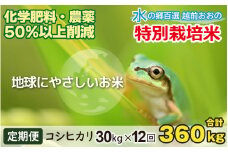 【令和6年産 新米】【12ヶ月定期便】こしひかり 30kg × 12回 計 360kg【白米】